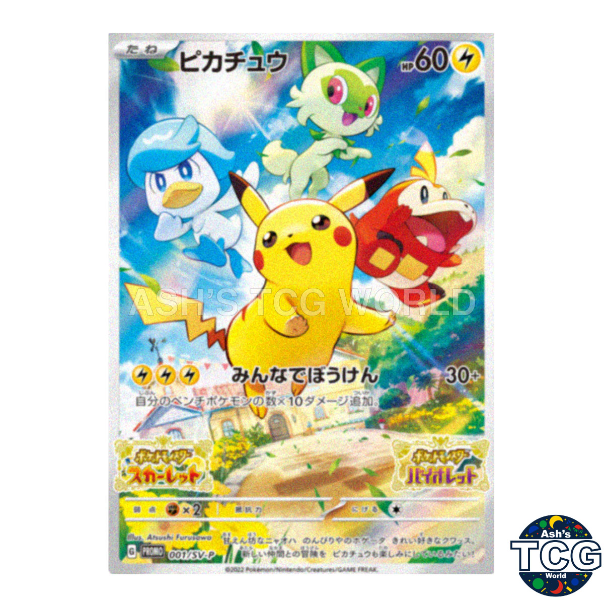 Pikachu front photo
