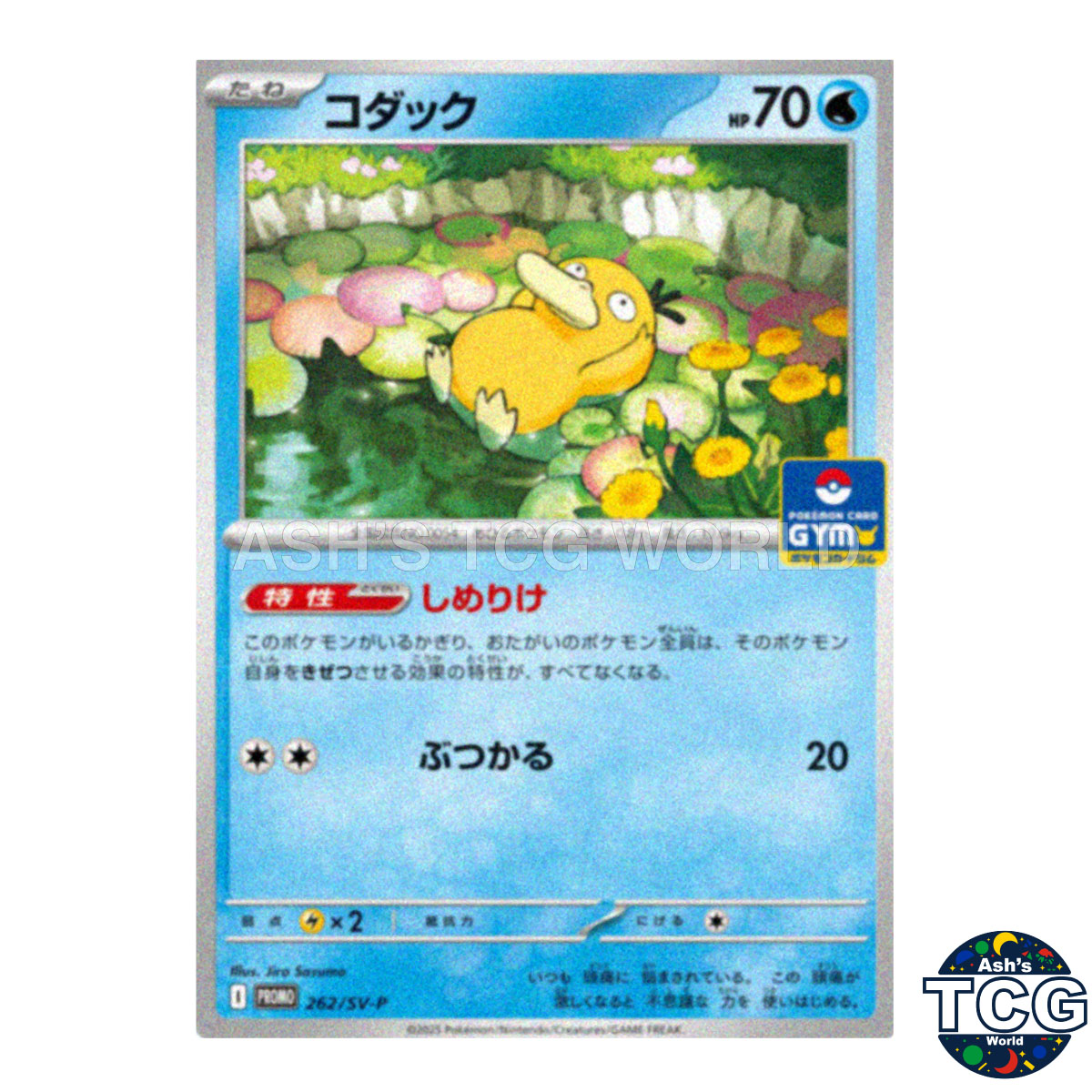 Psyduck Promo 262/SV-P SV-P Promo Pokemon Card Japanese | eBay
