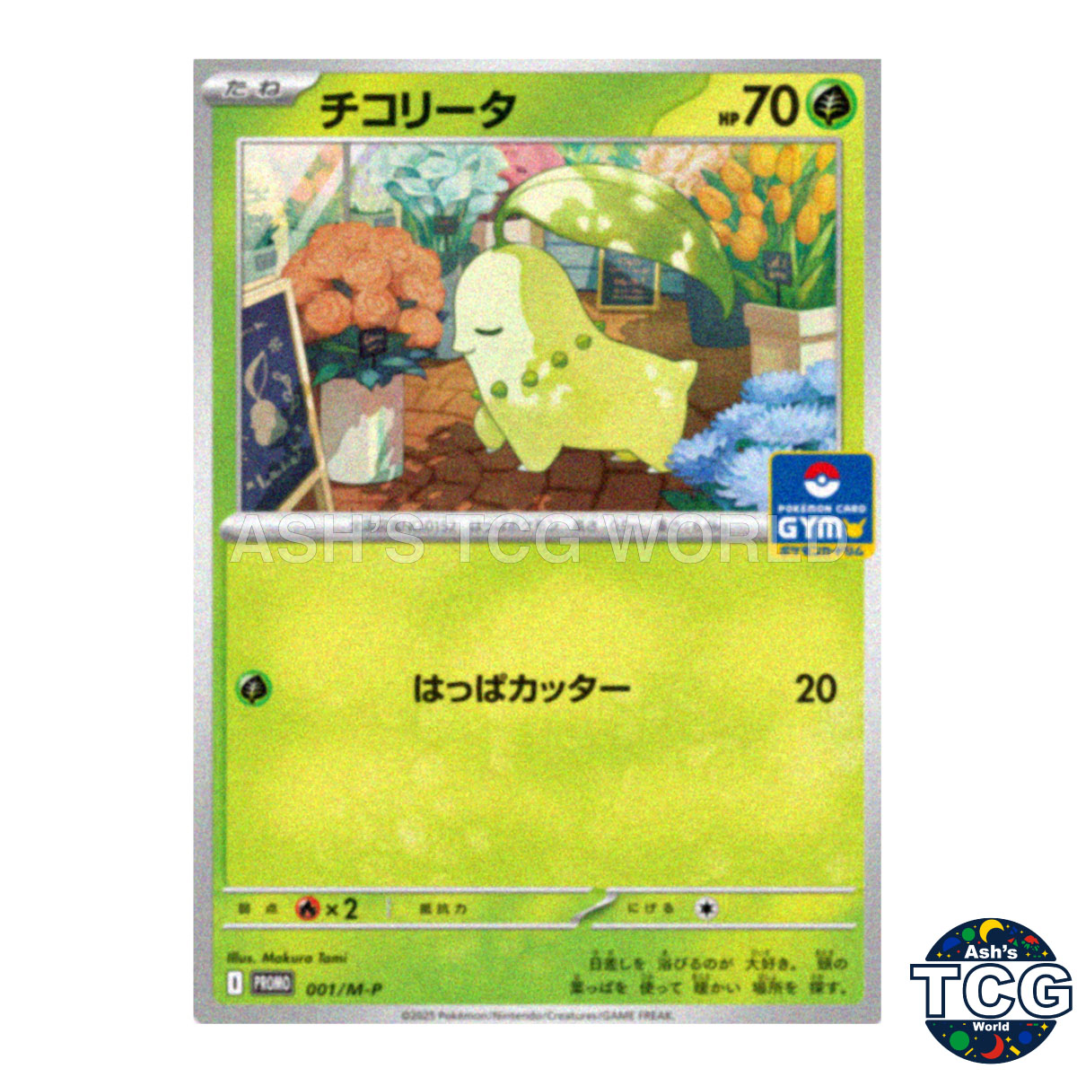 048247_P_CHIKORITA.jpg