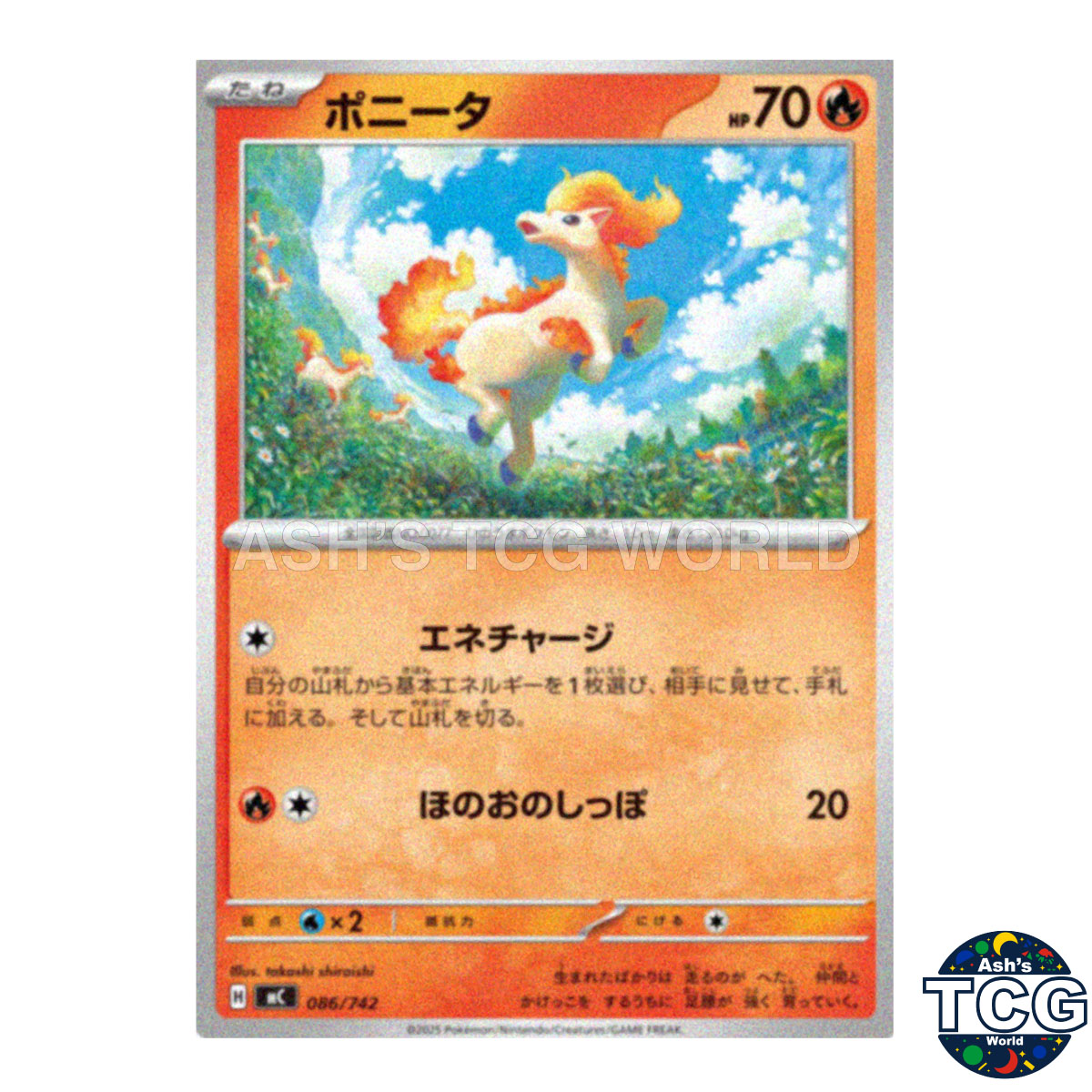 Ponyta front photo
