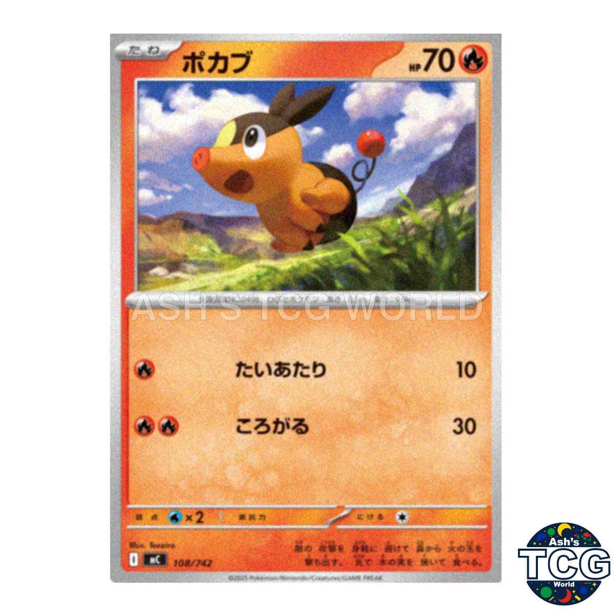 Tepig front photo