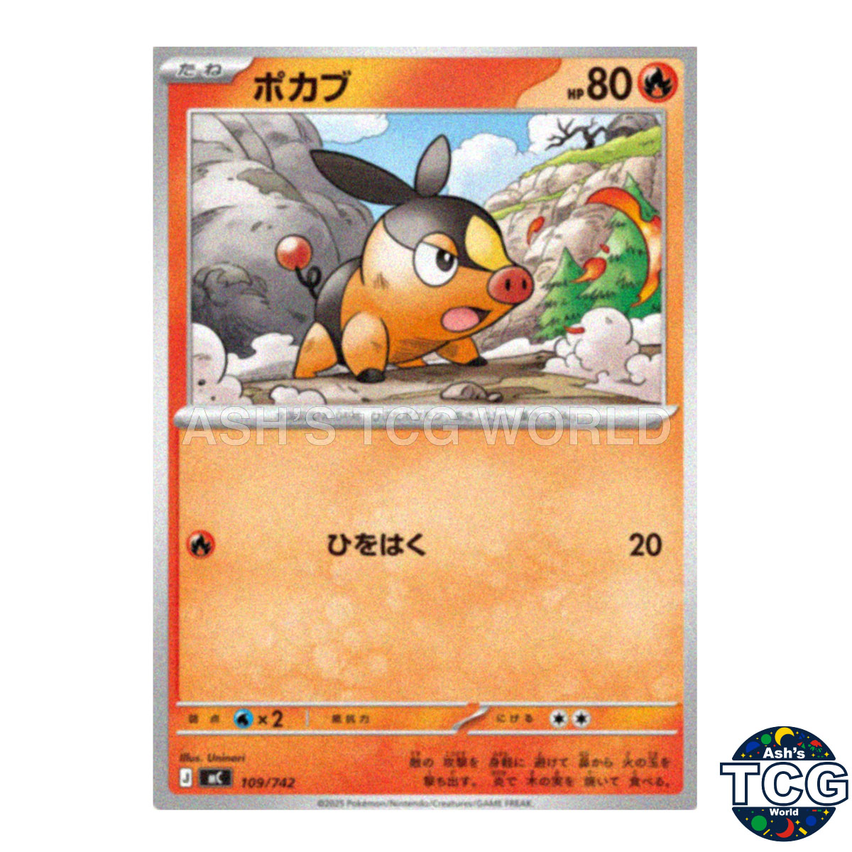 Tepig front photo
