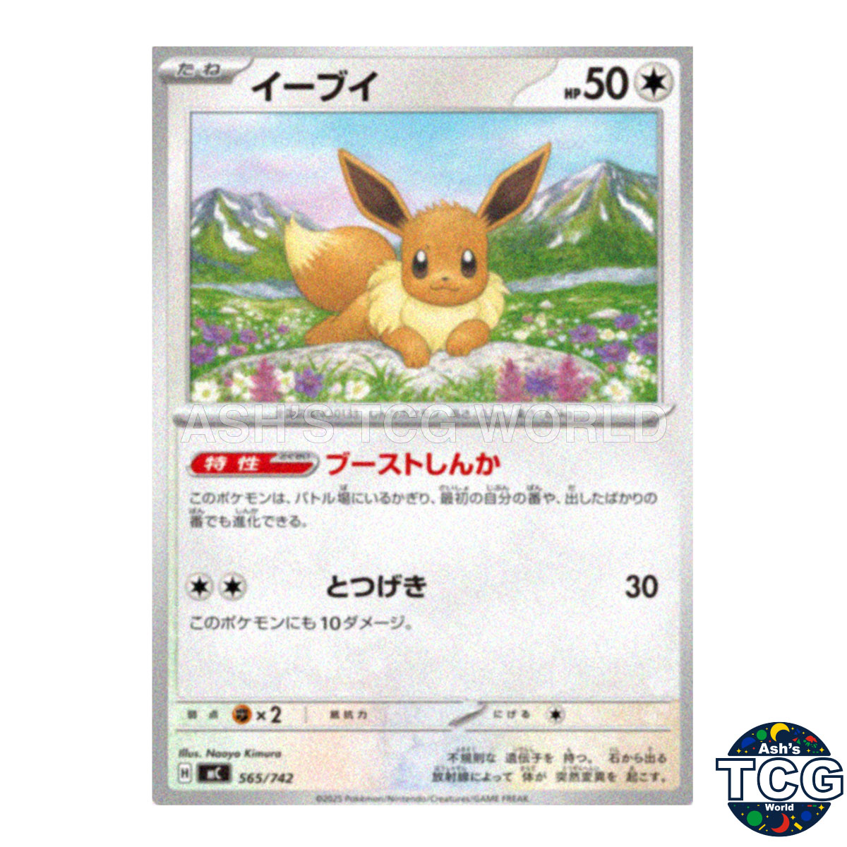 Eevee front photo