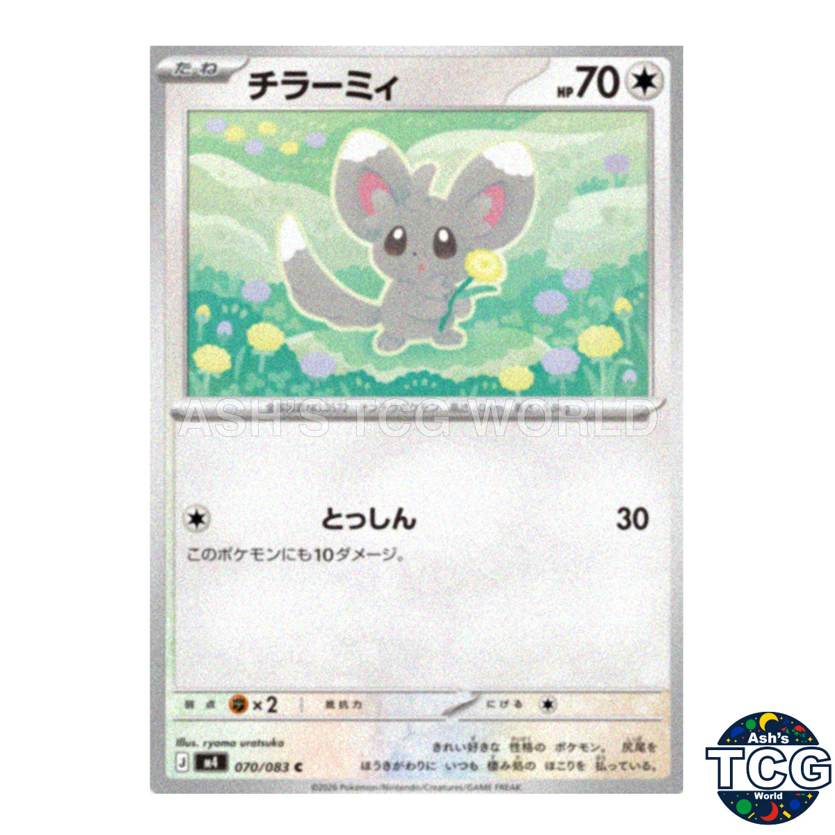 Minccino front photo