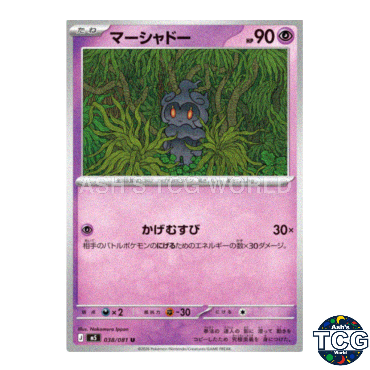 Marshadow front photo