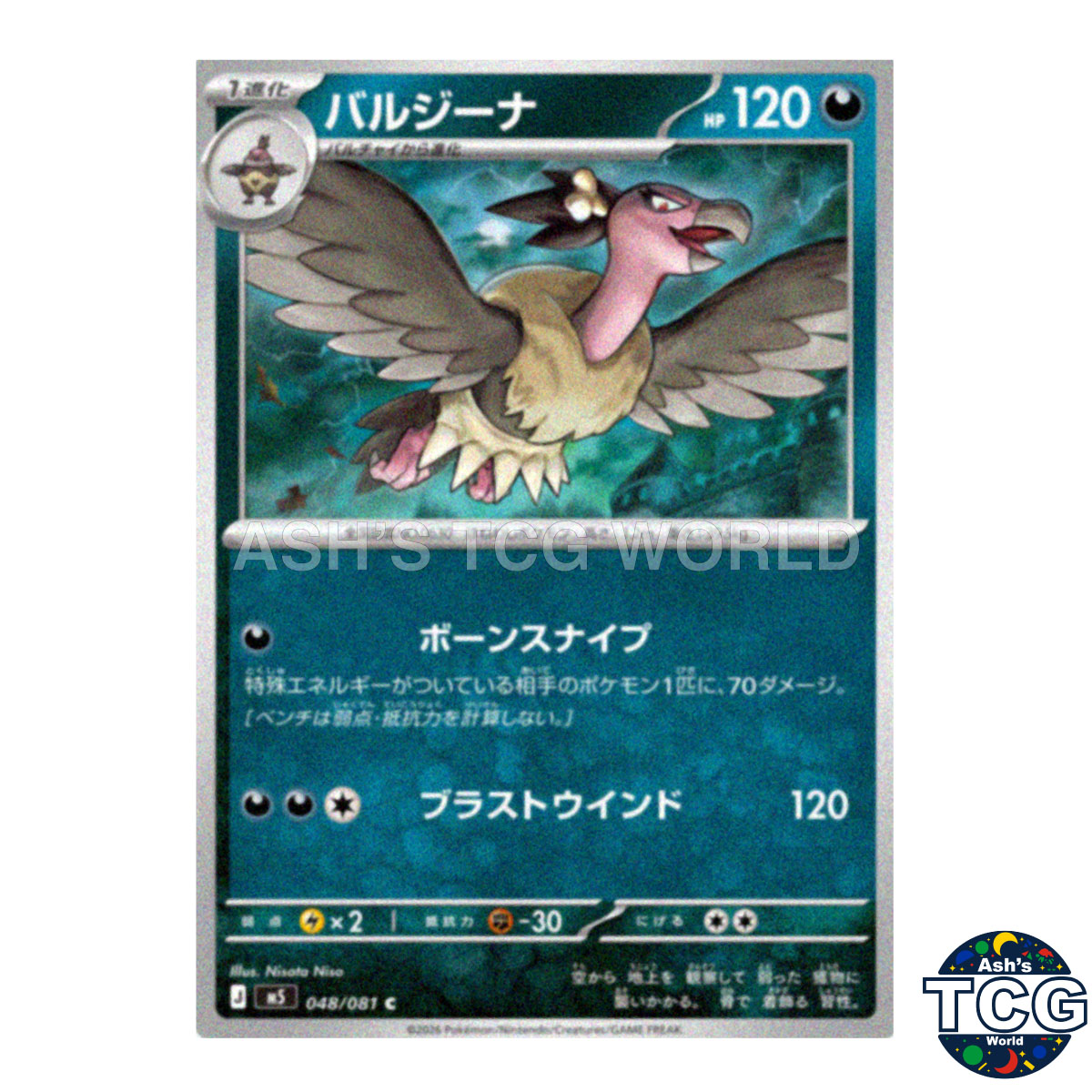 Mandibuzz front photo