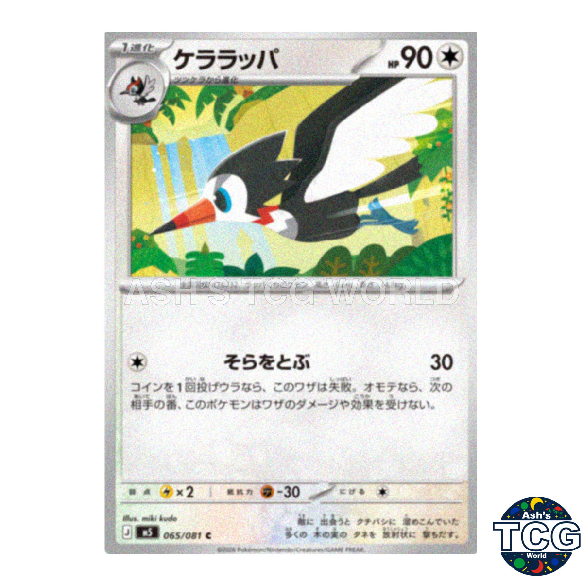 Trumbeak front photo
