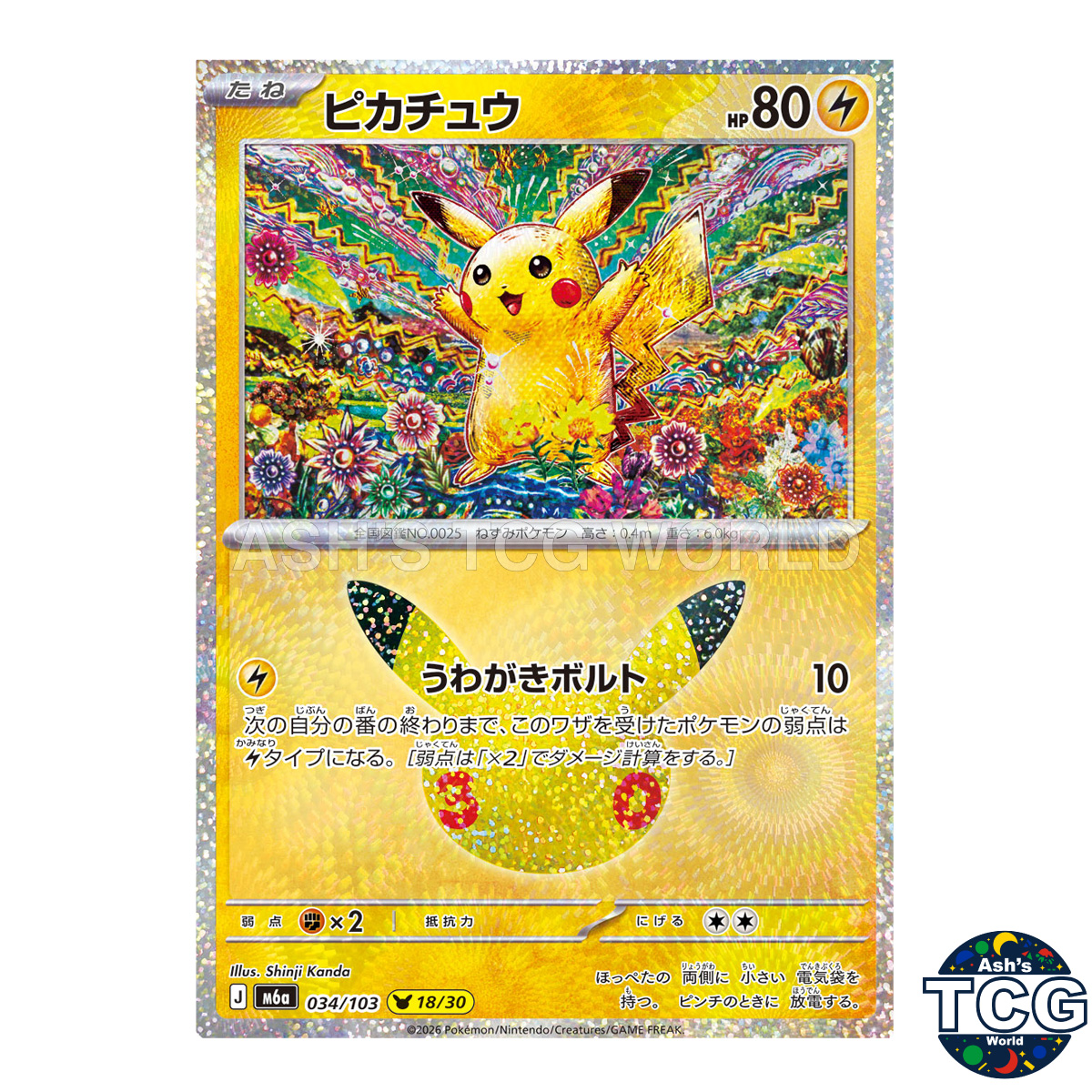 Pikachu front photo