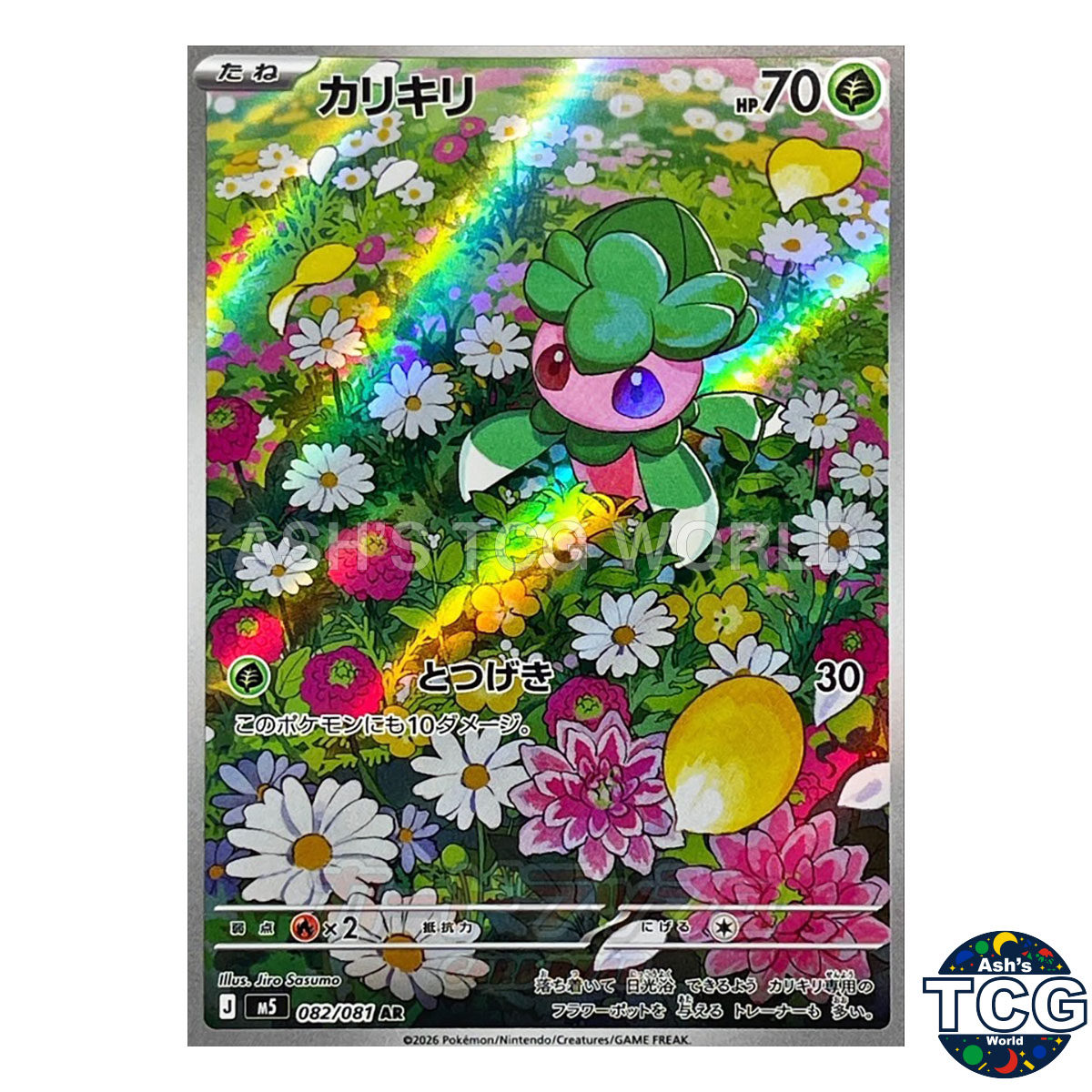 Fomantis front photo