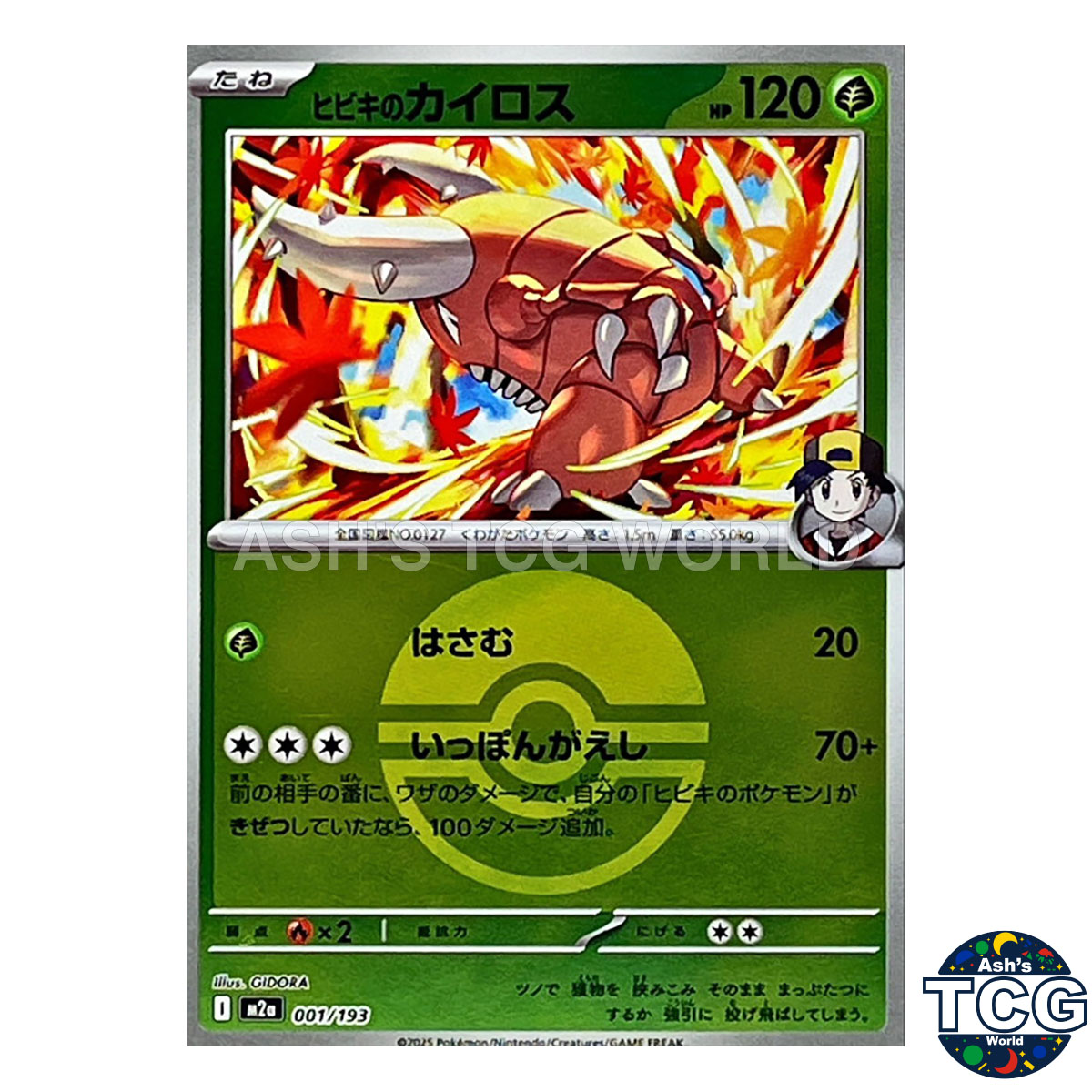 Ethan's Pinsir front photo