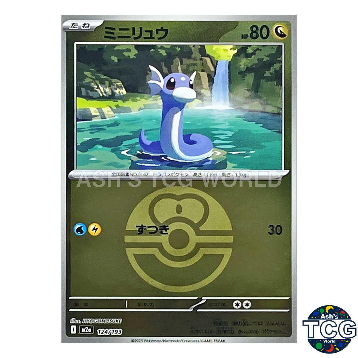 Dratini front photo