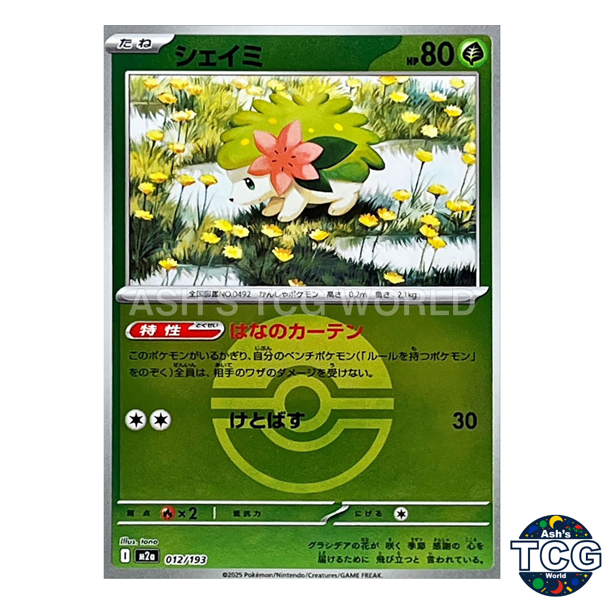 Shaymin front photo