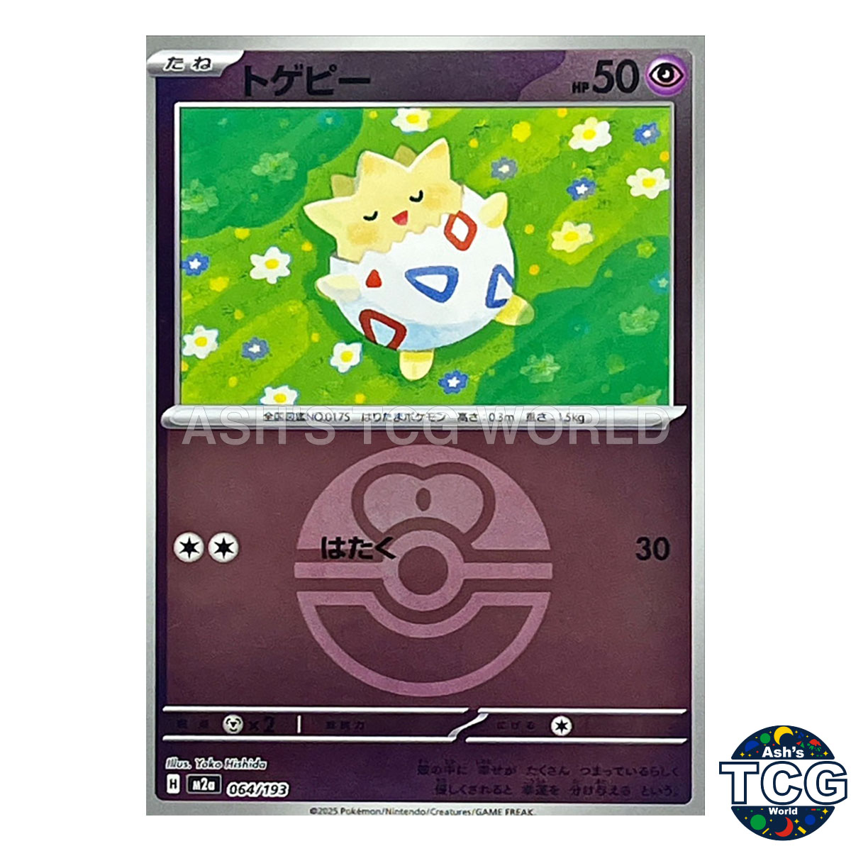 Togepi front photo