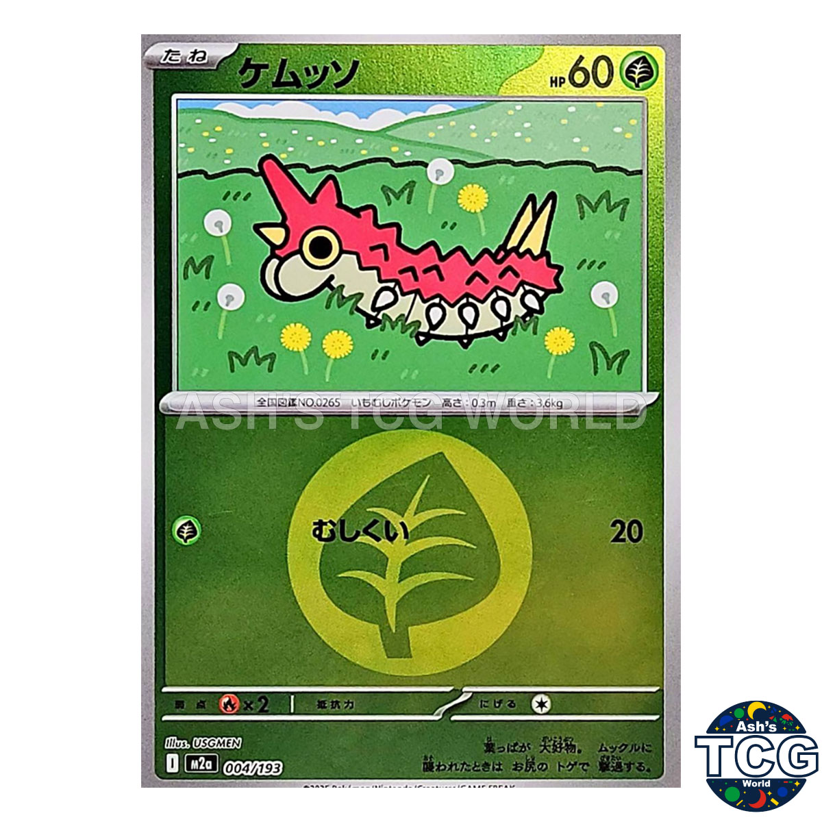 pokemon cards cases The Pokemon Card $1000 Box!