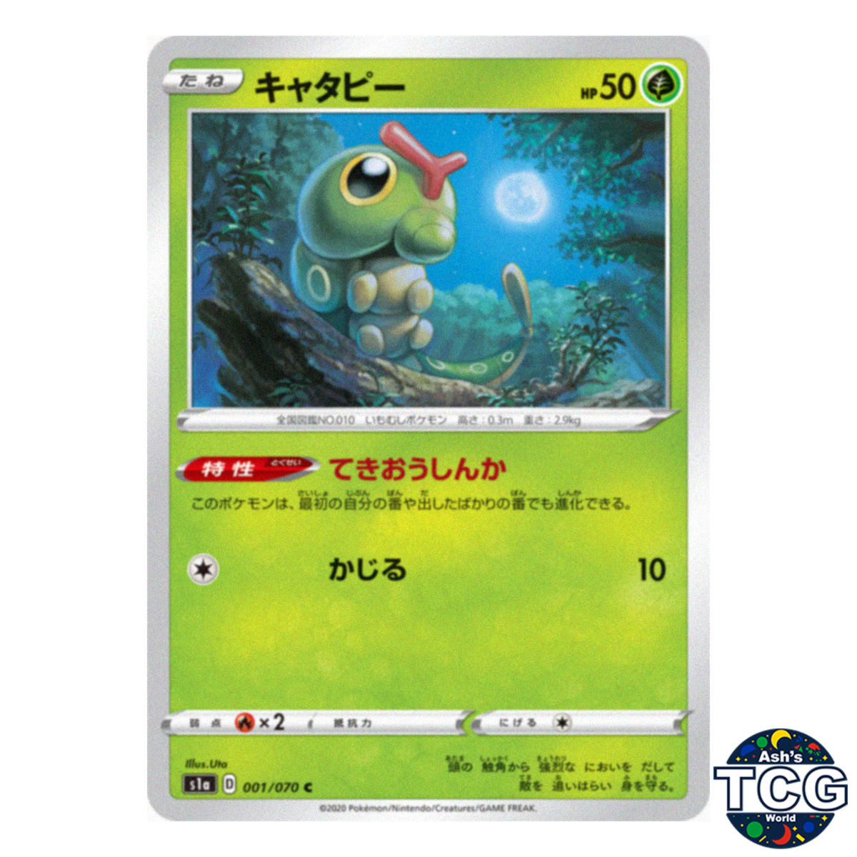 Caterpie front photo