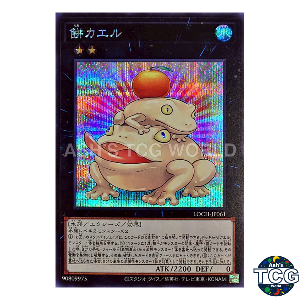Toadally Awesome front photo